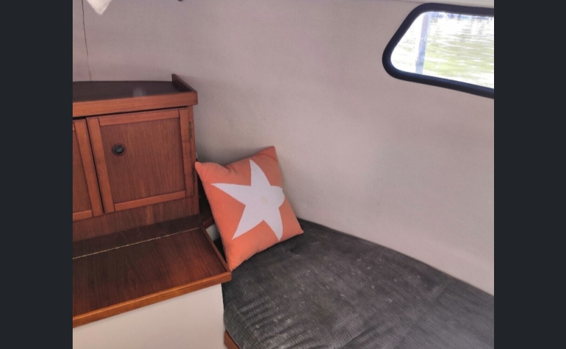 Albatross Flying 870-kuva-5